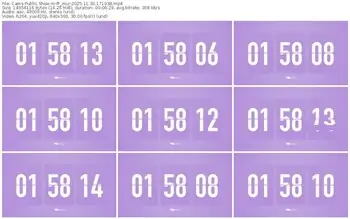 cams-ff_mur-11-30-2025-17-10-38