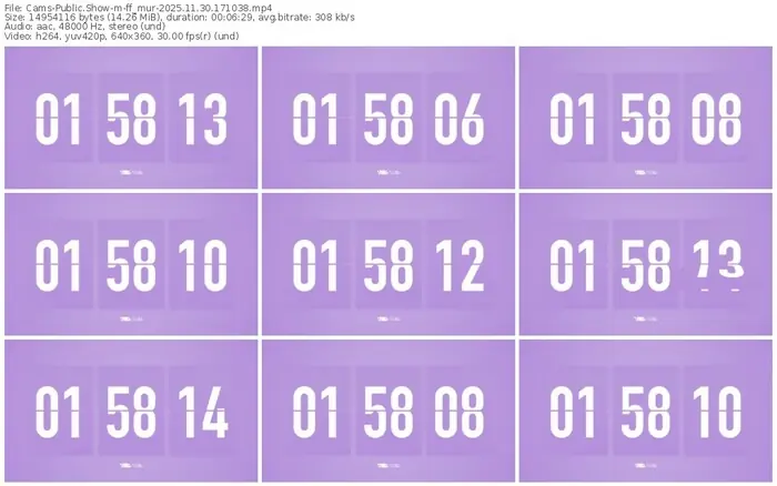 cams-ff_mur-11-30-2025-17-10-38