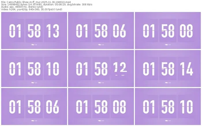 cams-ff_mur-11-30-2025-18-46-10