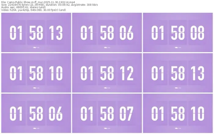 cams-ff_mur-11-30-2025-19-31-14