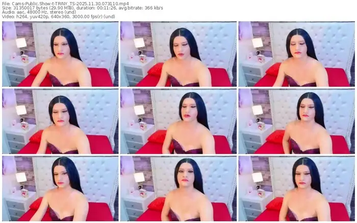 cams-triny_ts-11-30-2025-07-31-10