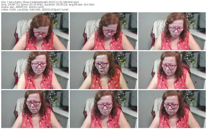 cams-adeleemodel-12-01-2025-08-54-04