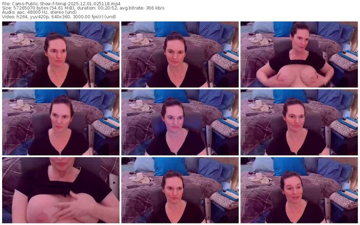 cams-ninaj-12-01-2025-02-51-18