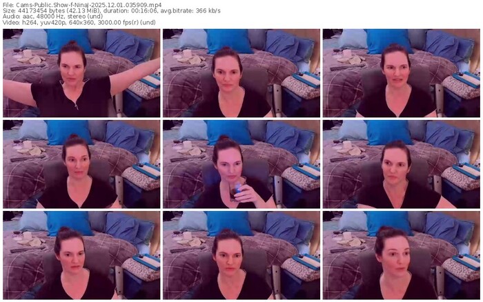 cams-ninaj-12-01-2025-03-59-09
