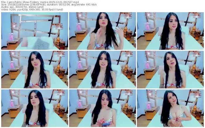 cams-valery_hanze-12-01-2025-00-15-27