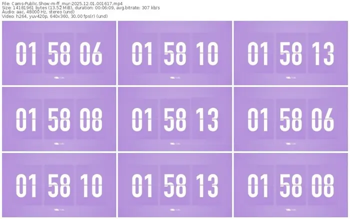 cams-ff_mur-12-01-2025-00-16-17