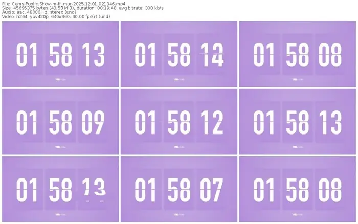 cams-ff_mur-12-01-2025-02-19-46