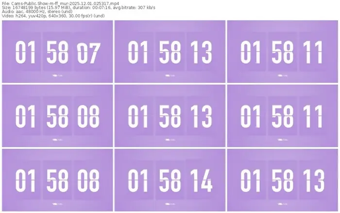 cams-ff_mur-12-01-2025-02-53-17