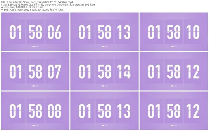 cams-ff_mur-12-01-2025-04-50-46