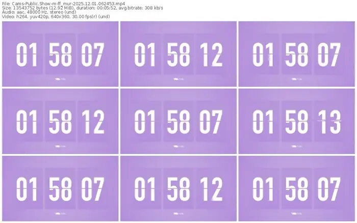 cams-ff_mur-12-01-2025-06-24-53