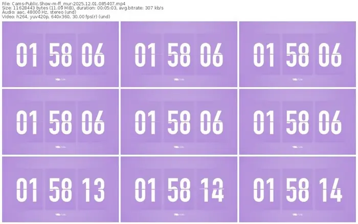 cams-ff_mur-12-01-2025-08-54-07