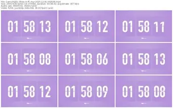 cams-ff_mur-12-01-2025-09-25-46