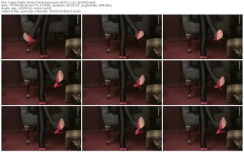 cams-mistressvivian-12-02-2025-20-20-50