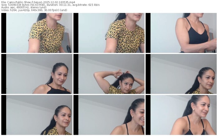 cams-seiya1-12-02-2025-16-35-35