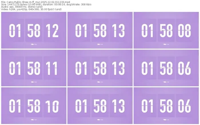 cams-ff_mur-12-02-2025-01-12-33