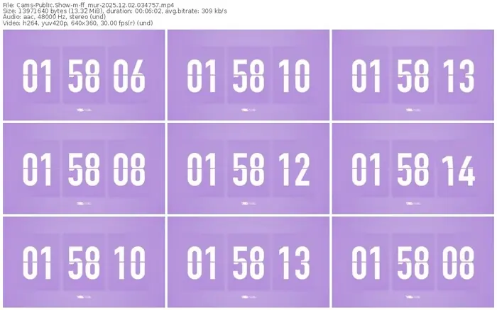 cams-ff_mur-12-02-2025-03-47-57