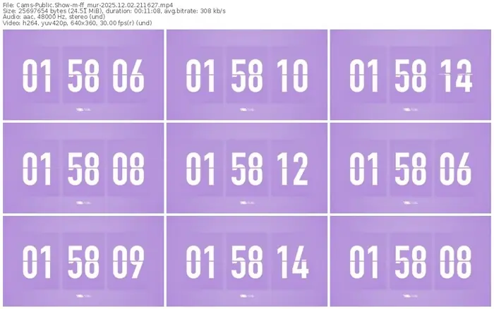 cams-ff_mur-12-02-2025-21-16-27