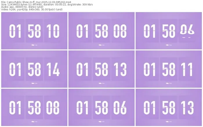 cams-ff_mur-12-03-2025-08-52-02