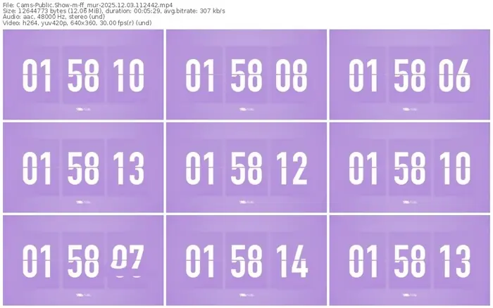 cams-ff_mur-12-03-2025-11-24-42