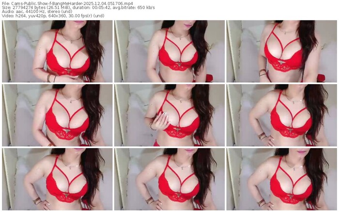 cams-bangmeharder-12-04-2025-05-17-06