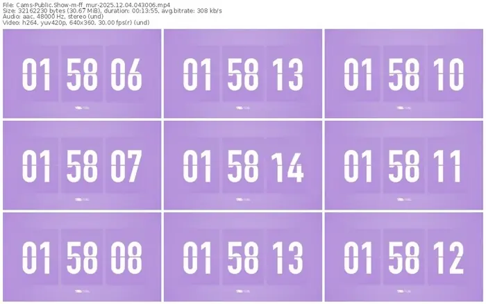 cams-ff_mur-12-04-2025-04-30-06