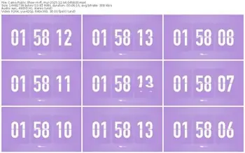 cams-ff_mur-12-04-2025-04-58-33