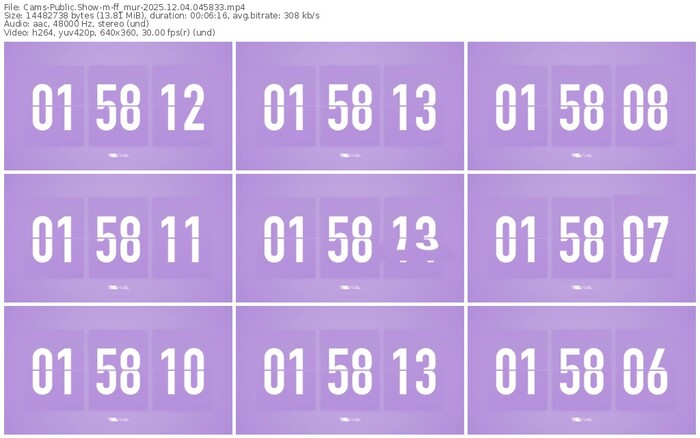 cams-ff_mur-12-04-2025-04-58-33