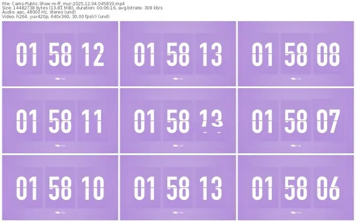 cams-ff_mur-12-04-2025-04-58-33