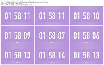 cams-ff_mur-12-04-2025-07-15-18