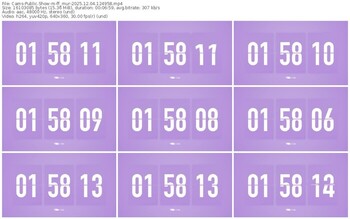 cams-ff_mur-12-04-2025-12-49-58