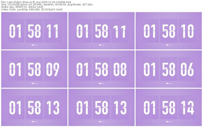 cams-ff_mur-12-04-2025-12-49-58