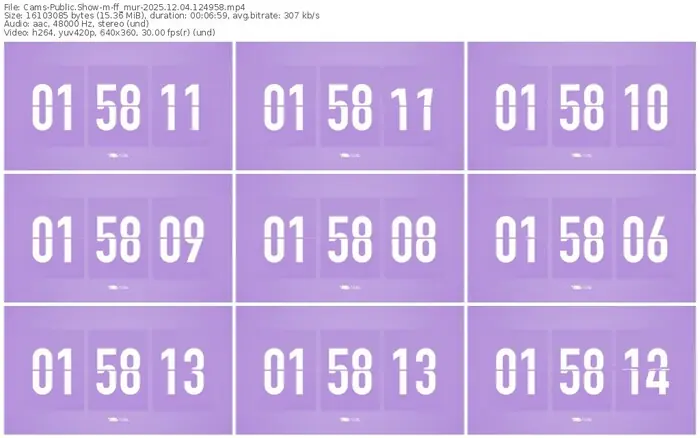 cams-ff_mur-12-04-2025-12-49-58