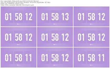 cams-ff_mur-12-04-2025-16-17-48