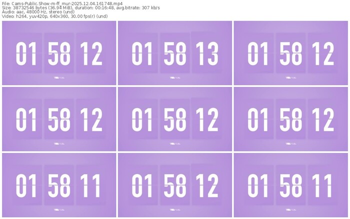 cams-ff_mur-12-04-2025-16-17-48