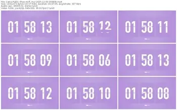 cams-ff_mur-12-09-2025-09-38-46