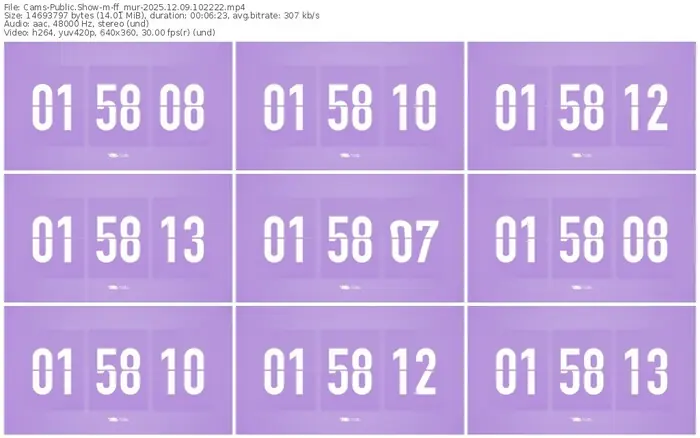 cams-ff_mur-12-09-2025-10-22-22