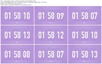 cams-ff_mur-12-09-2025-10-58-42