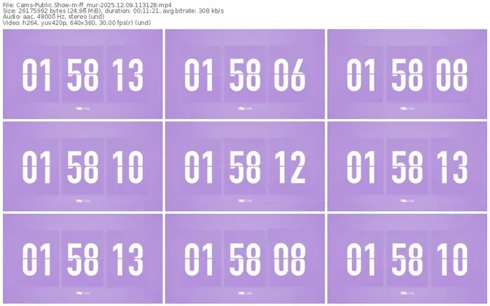 cams-ff_mur-12-09-2025-11-31-28