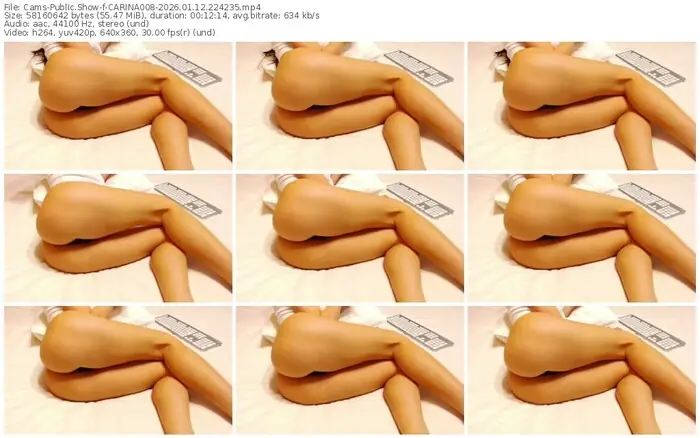 cams-carina008-01-12-2026-22-42-35