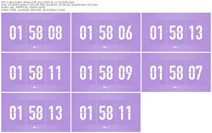 cams-ff_mur-01-12-2026-21-34-25