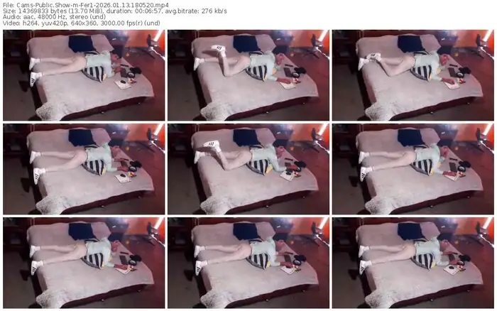 cams-fer1-01-13-2026-18-05-20