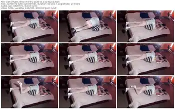 cams-fer1-01-13-2026-18-12-13