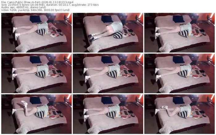 cams-fer1-01-13-2026-18-12-13