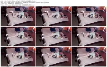 cams-fer1-01-13-2026-18-29-43