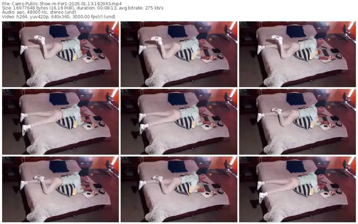 cams-fer1-01-13-2026-18-29-43