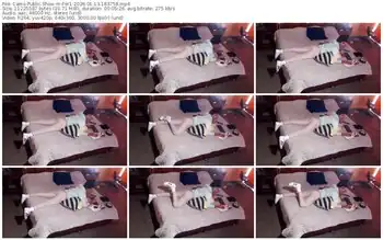 cams-fer1-01-13-2026-18-37-58