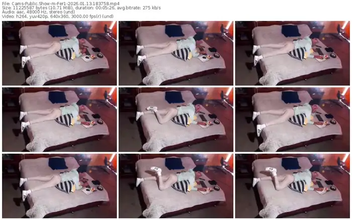 cams-fer1-01-13-2026-18-37-58