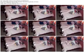 cams-fer1-01-13-2026-18-50-26