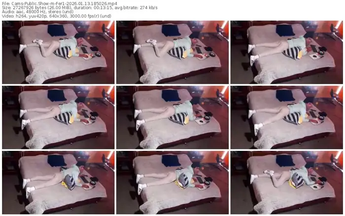 cams-fer1-01-13-2026-18-50-26