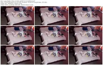 cams-fer1-01-13-2026-19-03-44